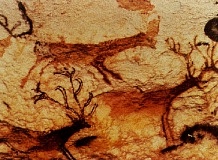 ����� �� ������ Lascaux �� �������